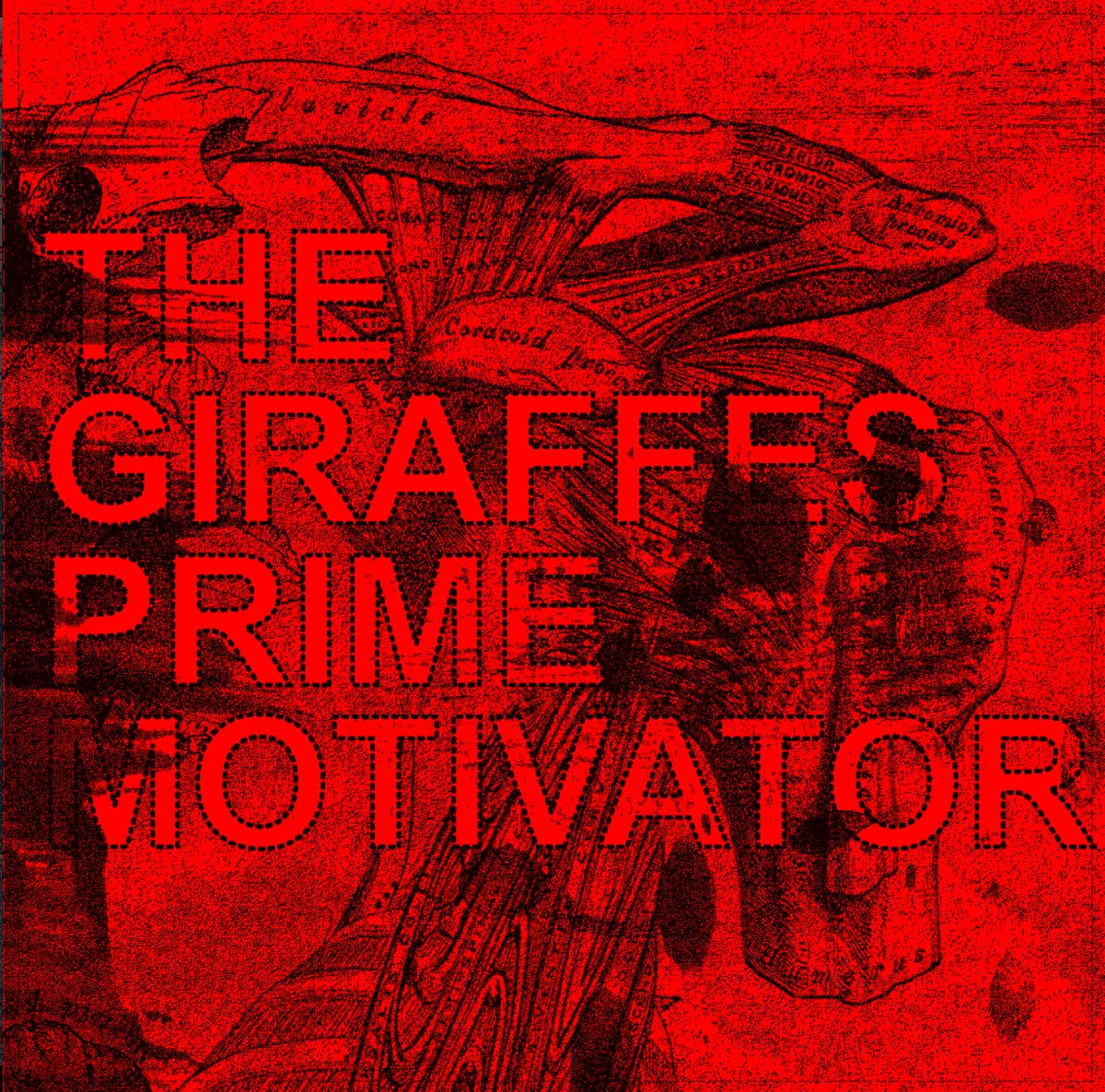 Prime Motivator