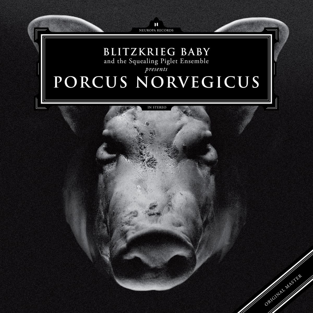 Porcus Norvegicus