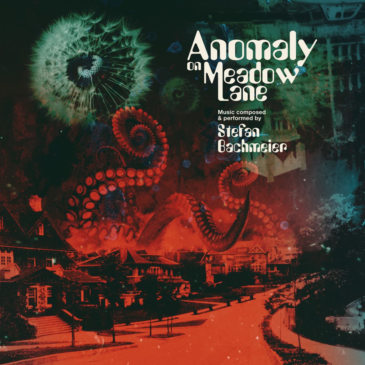 Anomaly on Meadow Lane