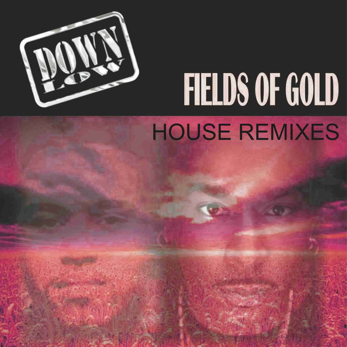 Fields of Gold (House Remixes)