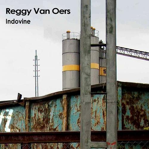 Indovine