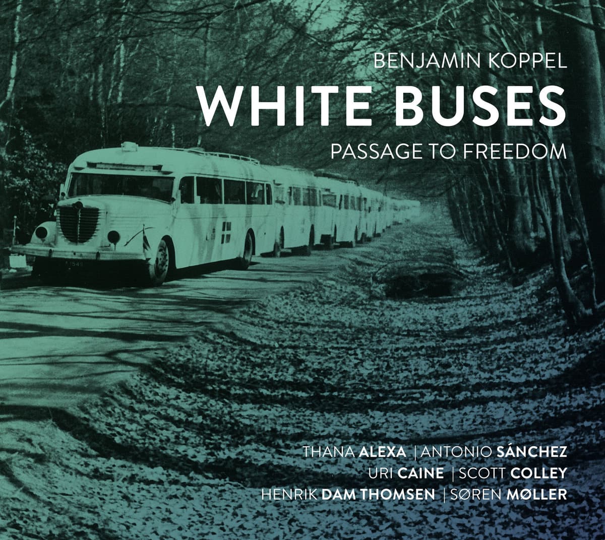 White Buses - Passage to freedom
