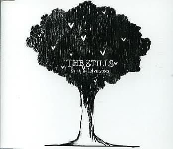 Still in Love Song