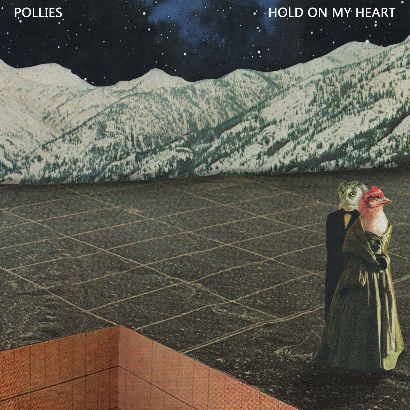 Hold on My Heart