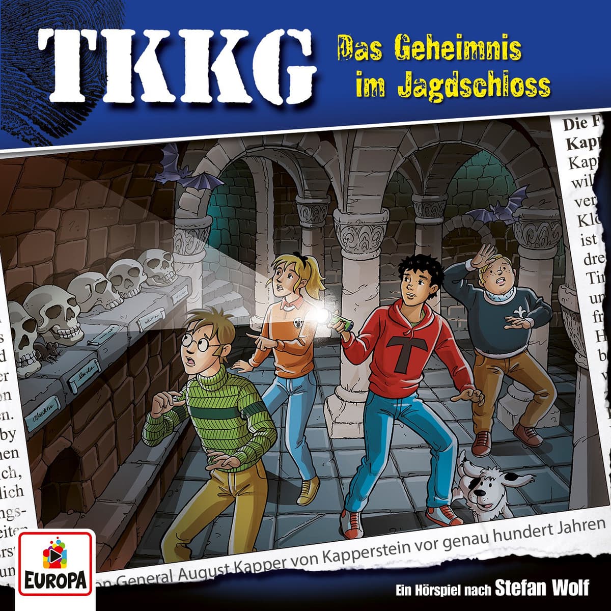 TKKG 216: Das Geheimnis im Jagdschloss