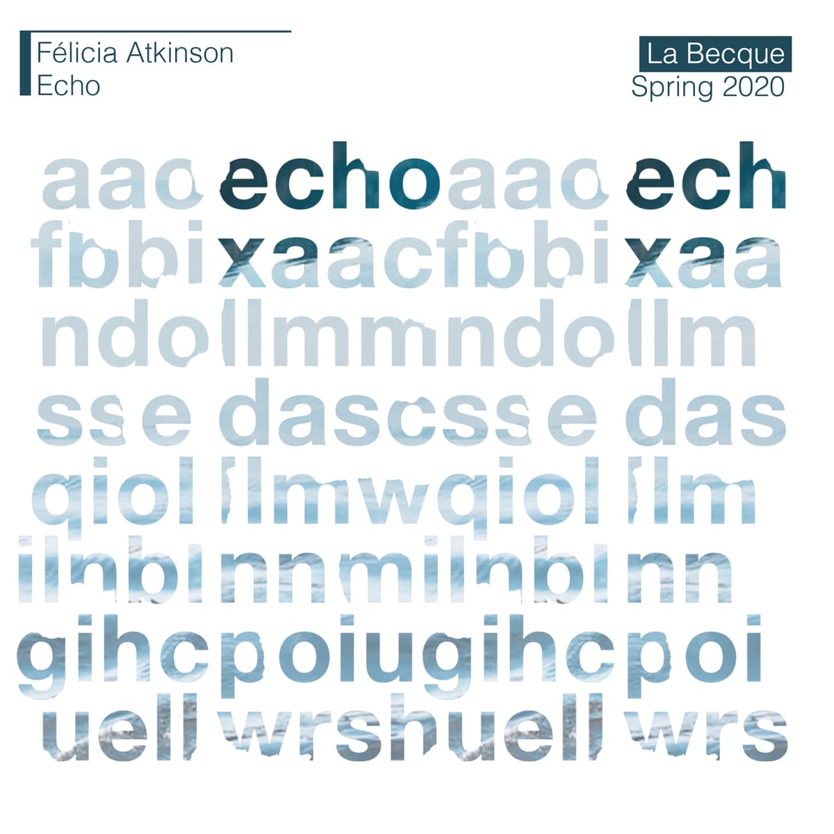 Echo
