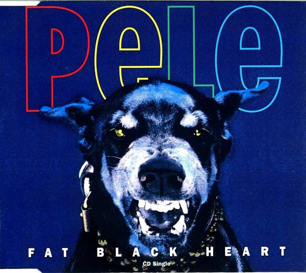 Fat Black Heart