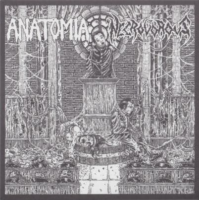 Anatomia / Necrovorous