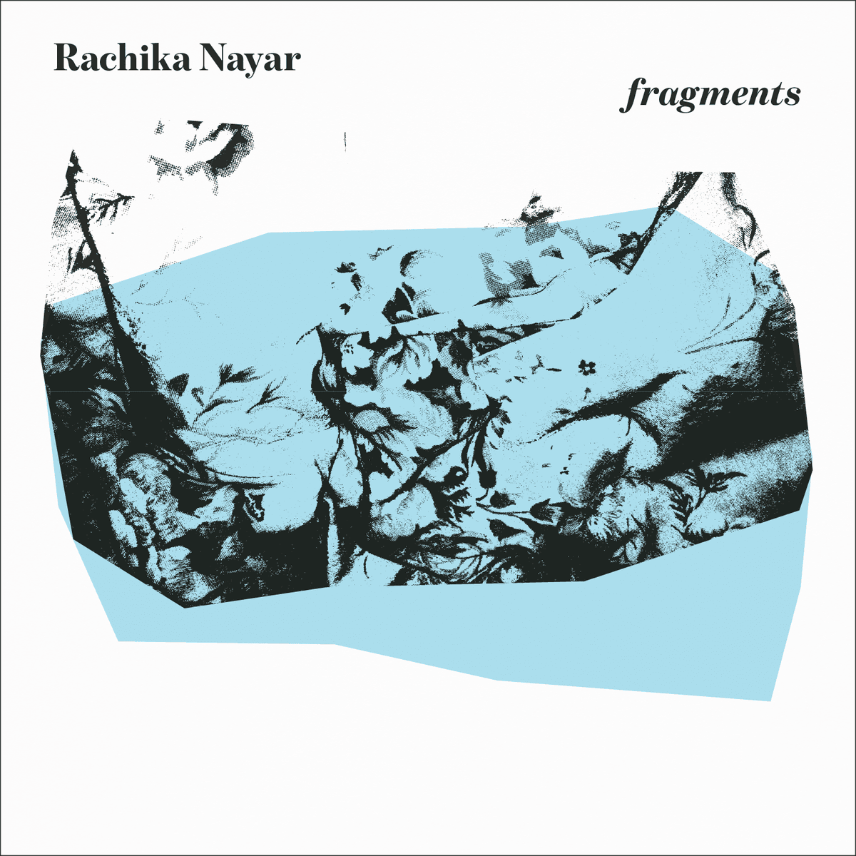 fragments (expanded)