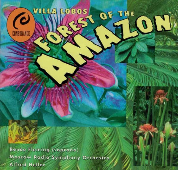 Forest of the Amazon