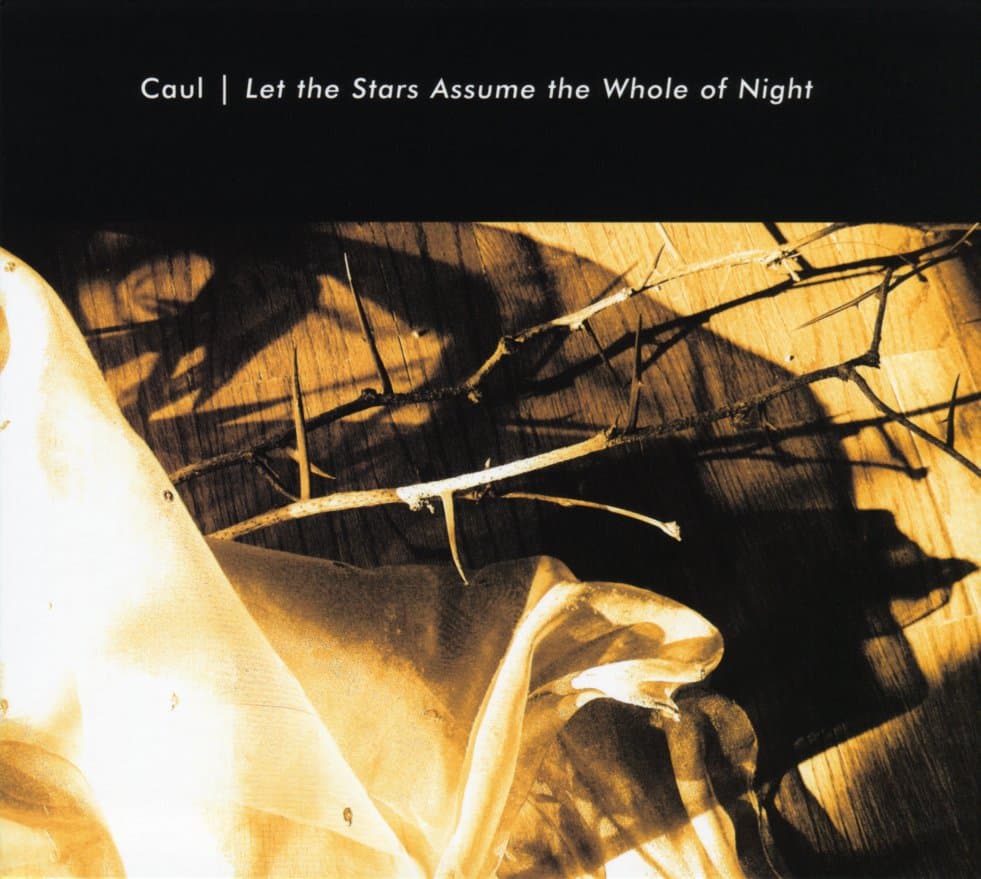 Let the Stars Assume the Whole of Night