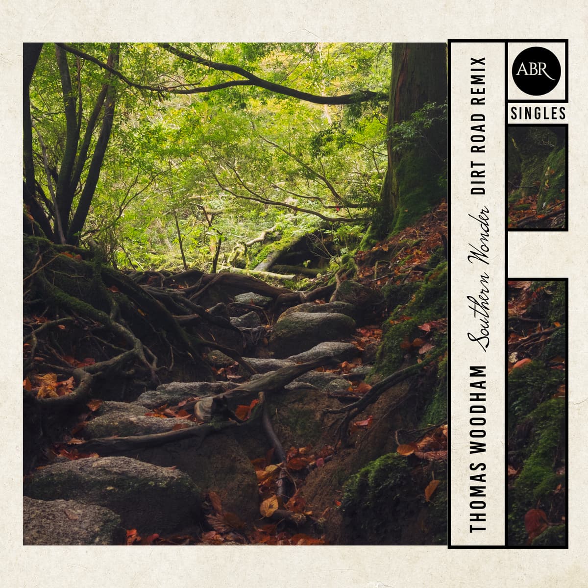 Southern Wonder (Dirt Road remix)