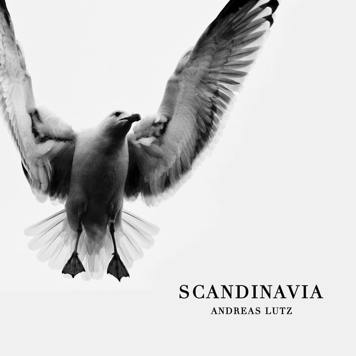 Scandinavia
