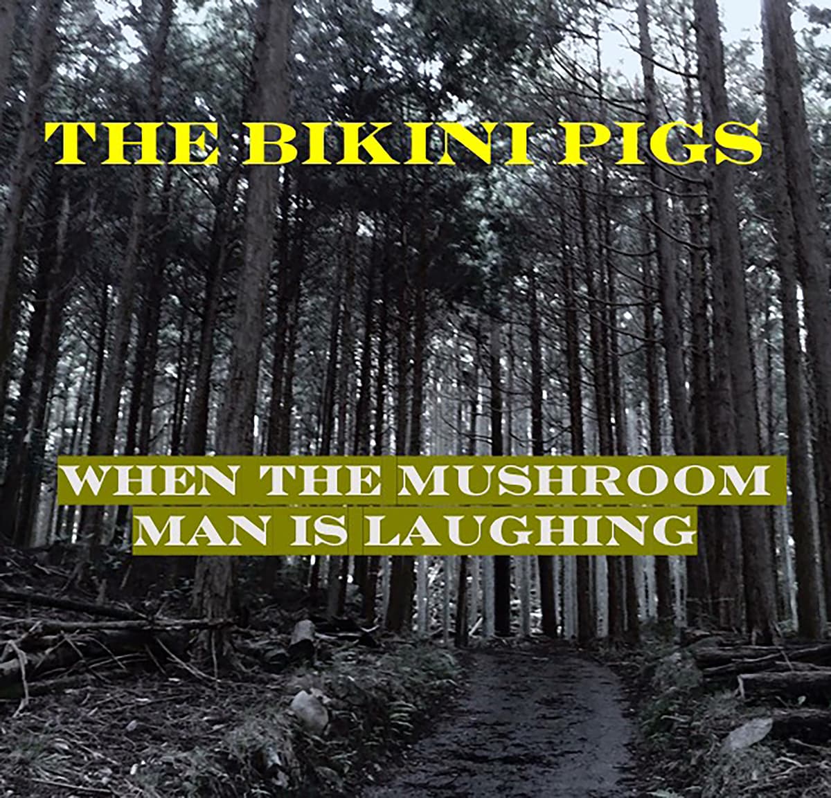 When the Mushroom Man Is Laughing