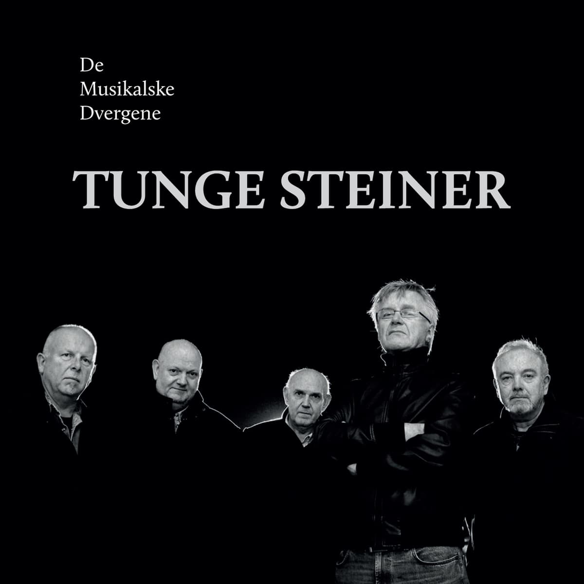 Tunge steiner