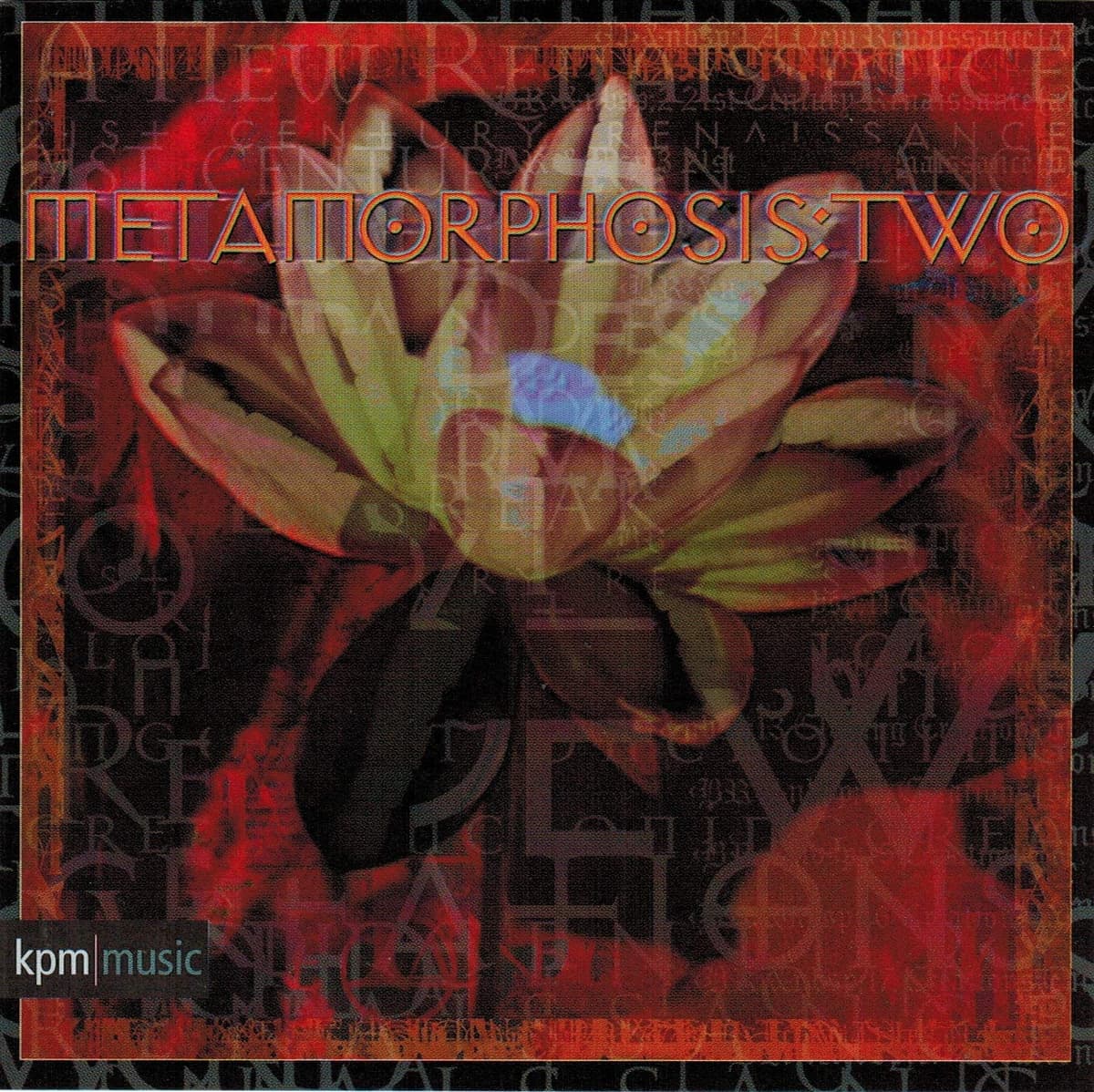 Metamorphosis Two
