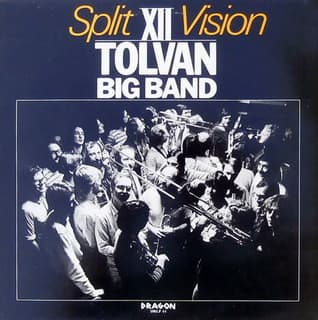 Split Vision
