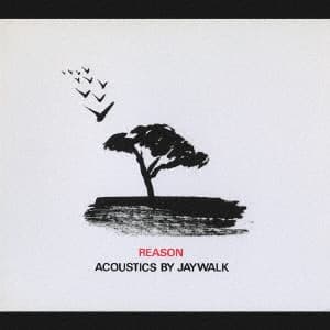 Reason = リーズン Acoustics by Jaywalk