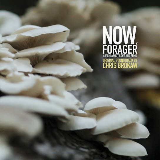 Now, Forager