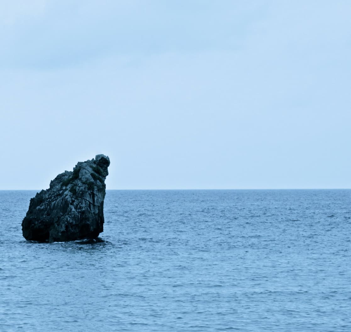 Architeuthis