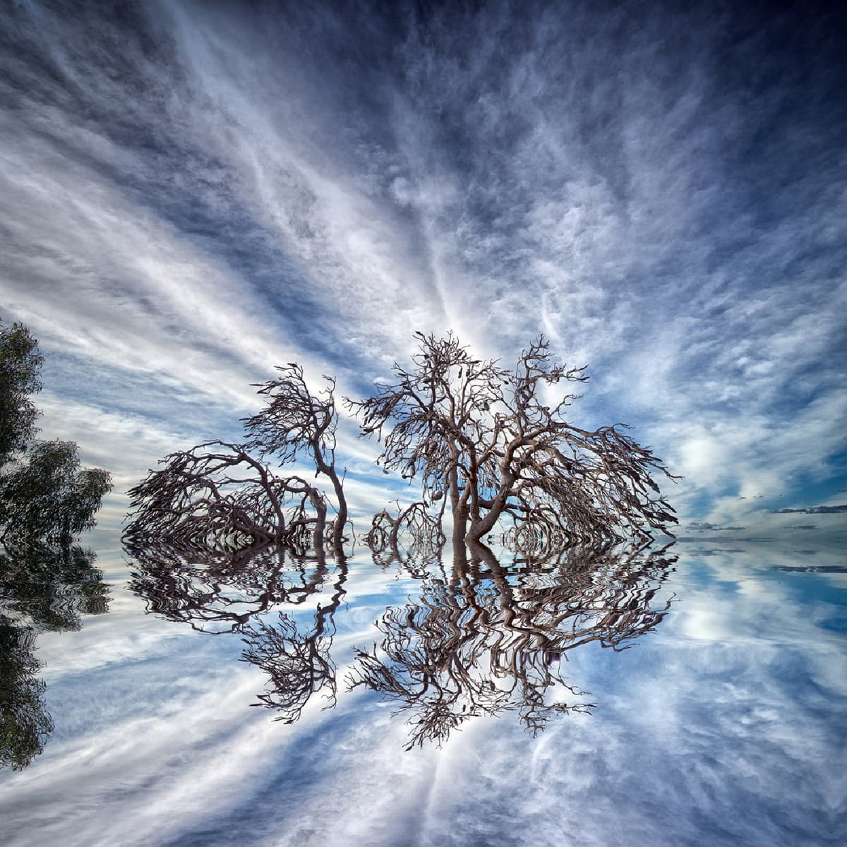 Ambisphere