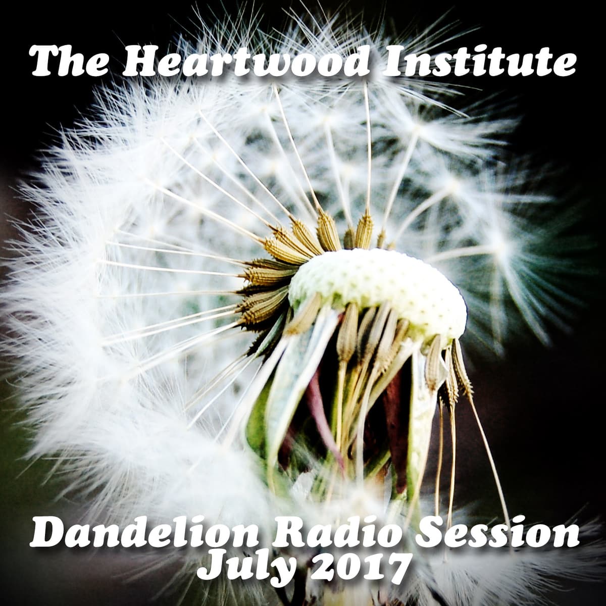 Dandelion Radio Session : July 2017