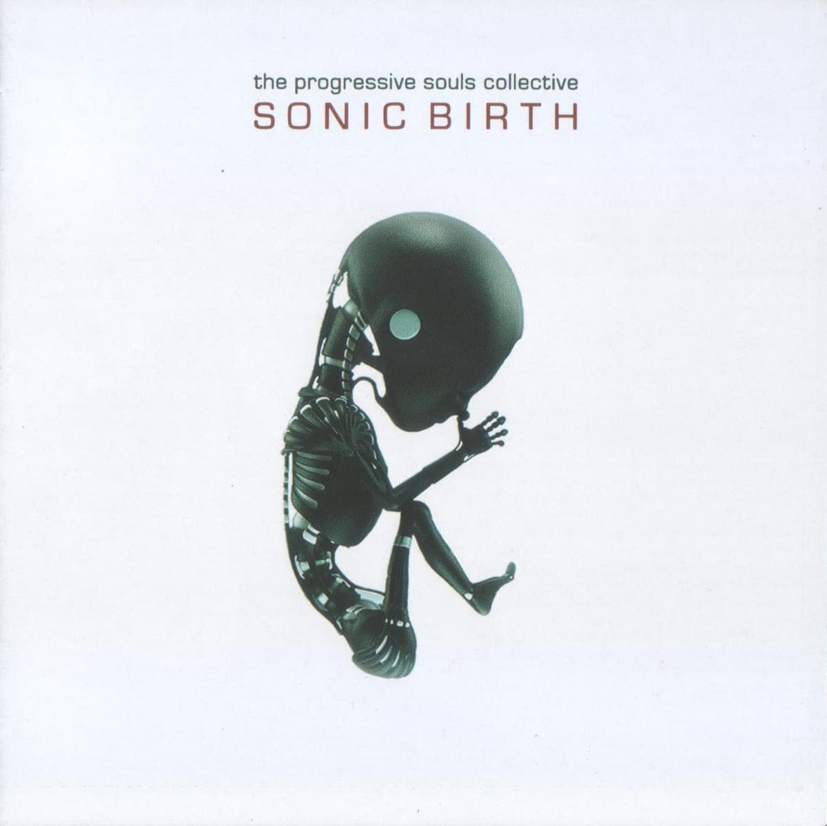 Sonic Birth
