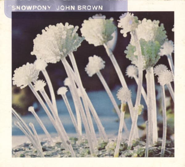 John Brown