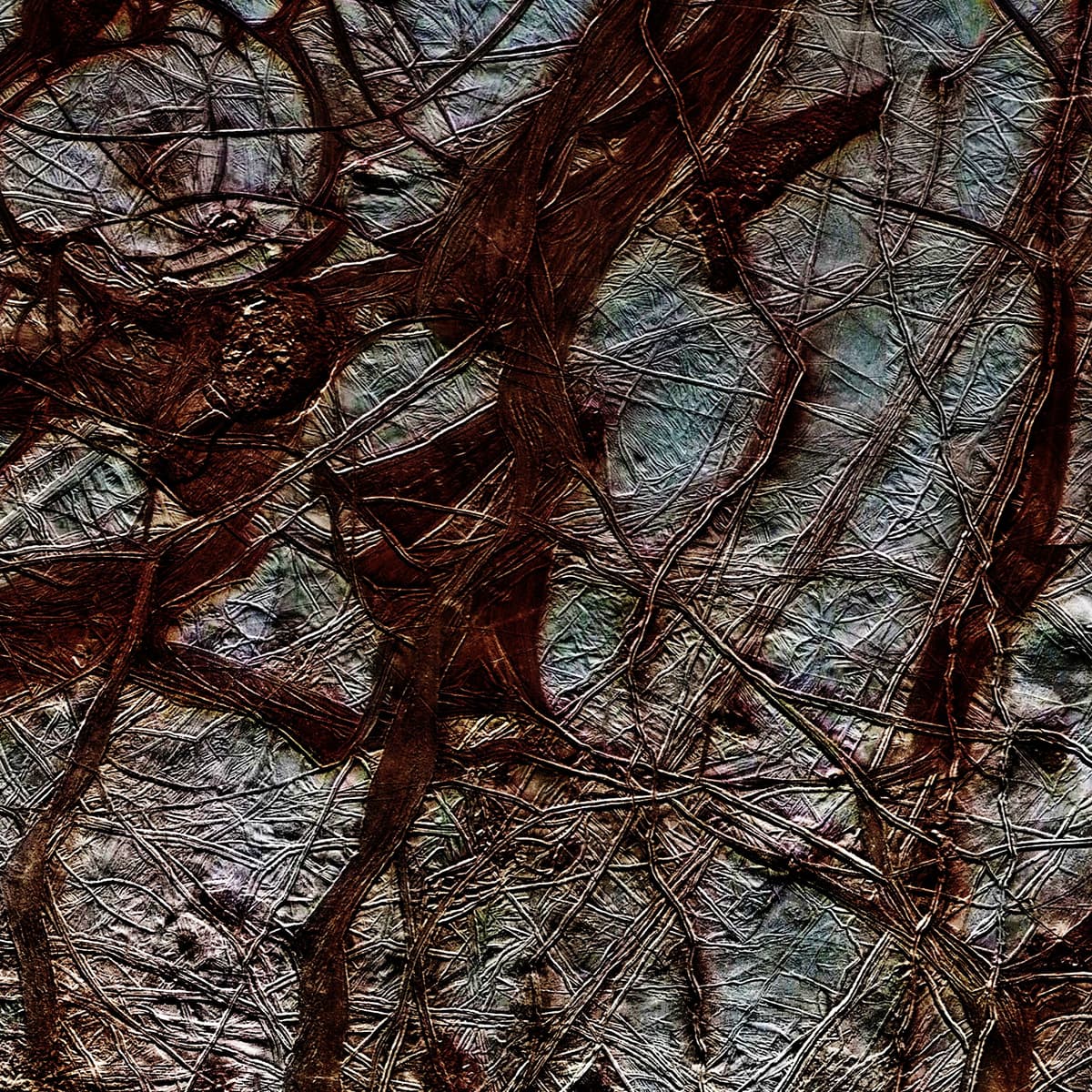 Erratic Liquid Under the Surface of Europa