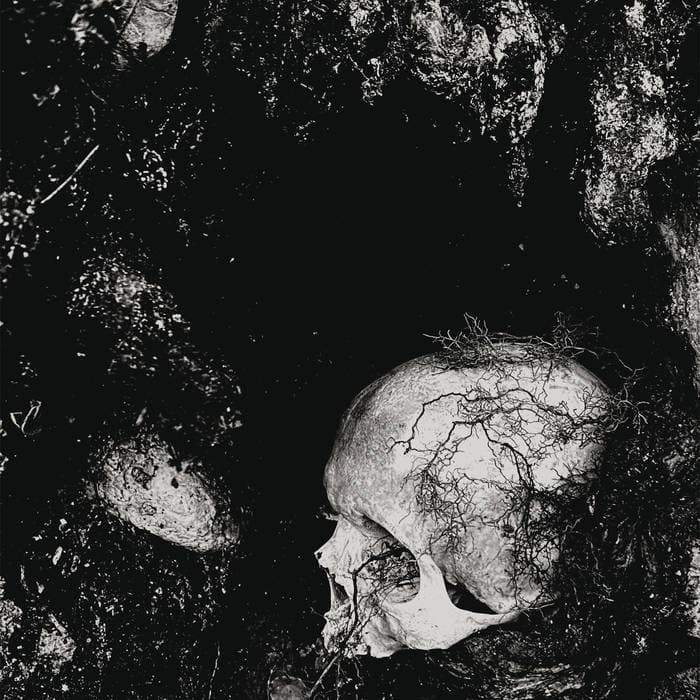Decadence of Ego