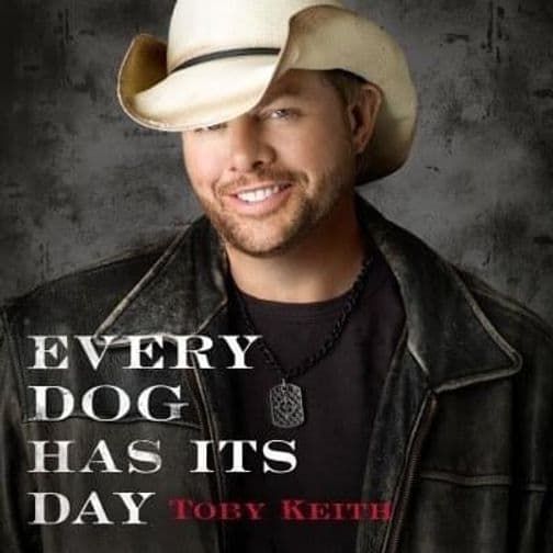 Every Dog Has Its Day