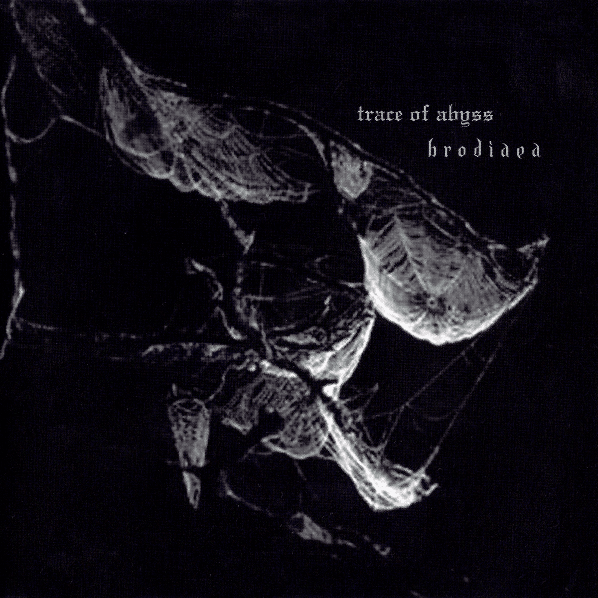 trace of abyss