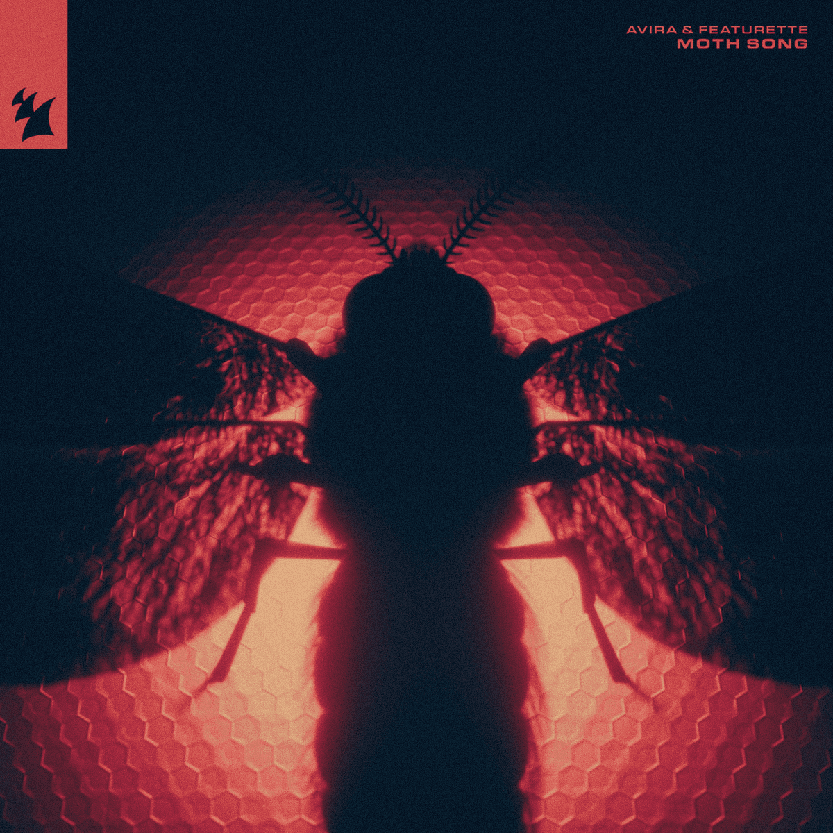 Moth Song