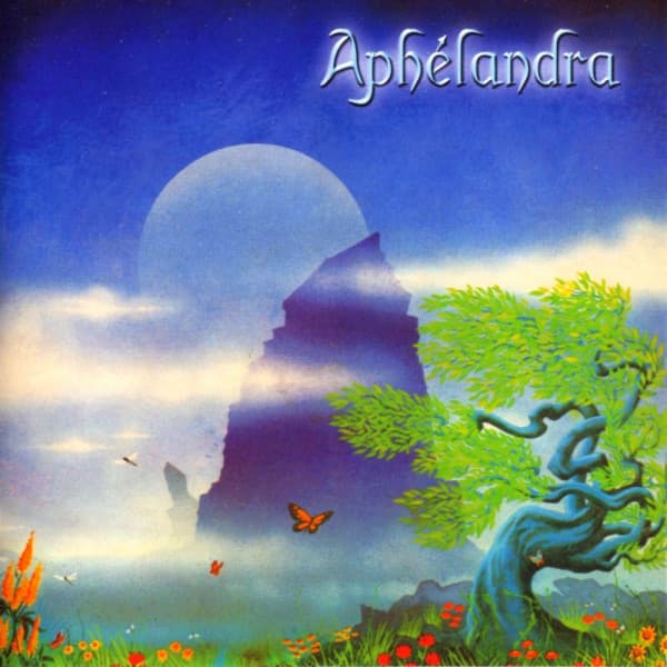 Aphélandra