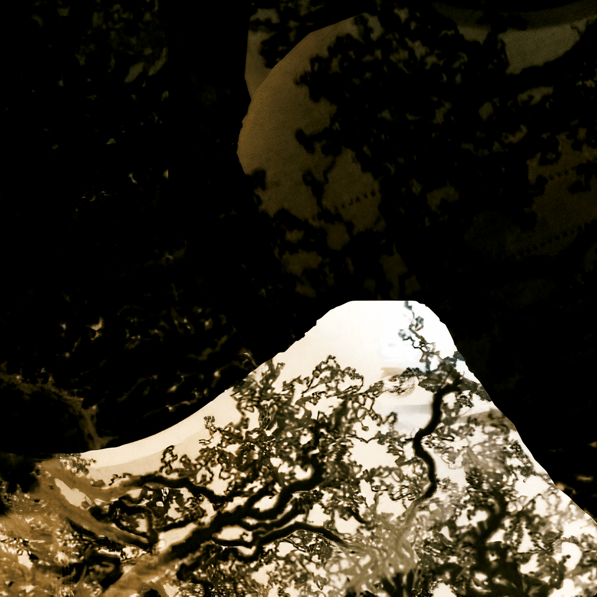 Nascent Structures