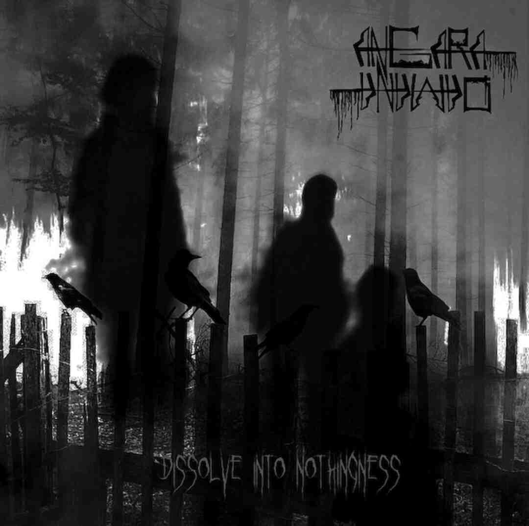 Dissolve Into Nothingness