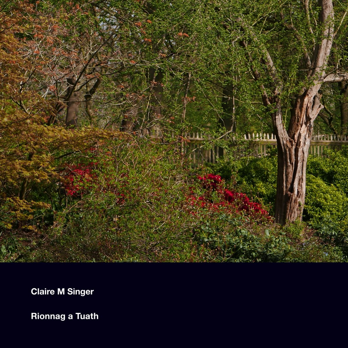 Rionnag a Tuath