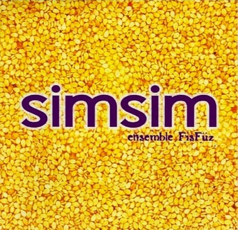 SimSim
