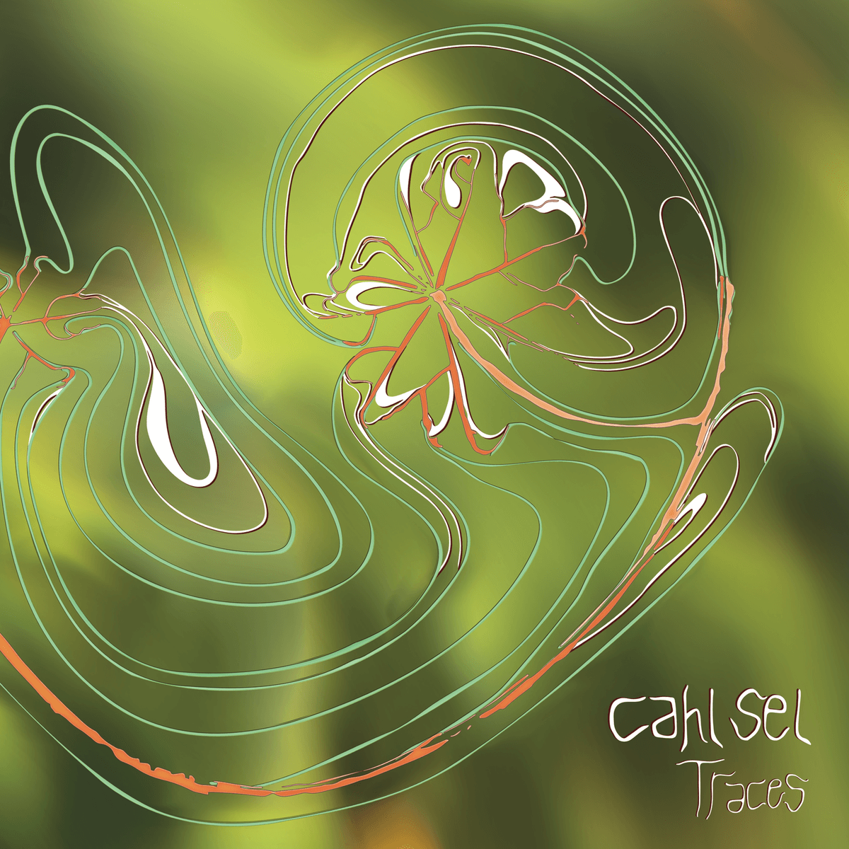Traces