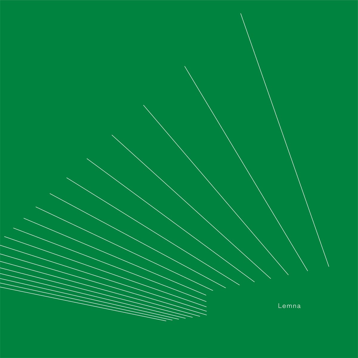 Mantis 14