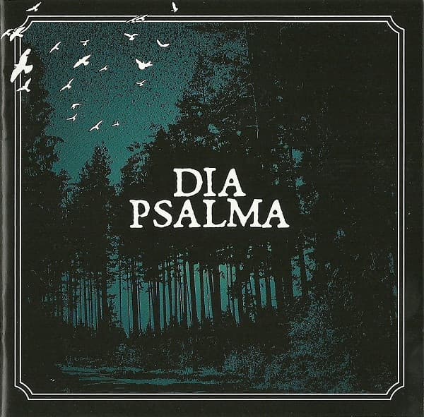 Djupa skogen