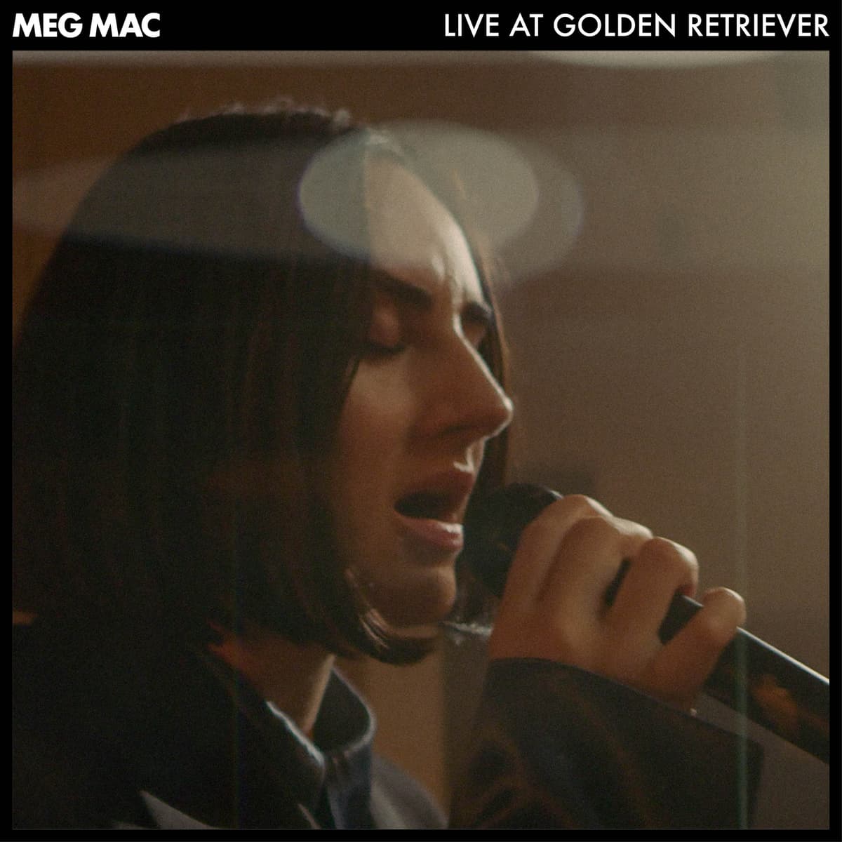 Live at Golden Retriever