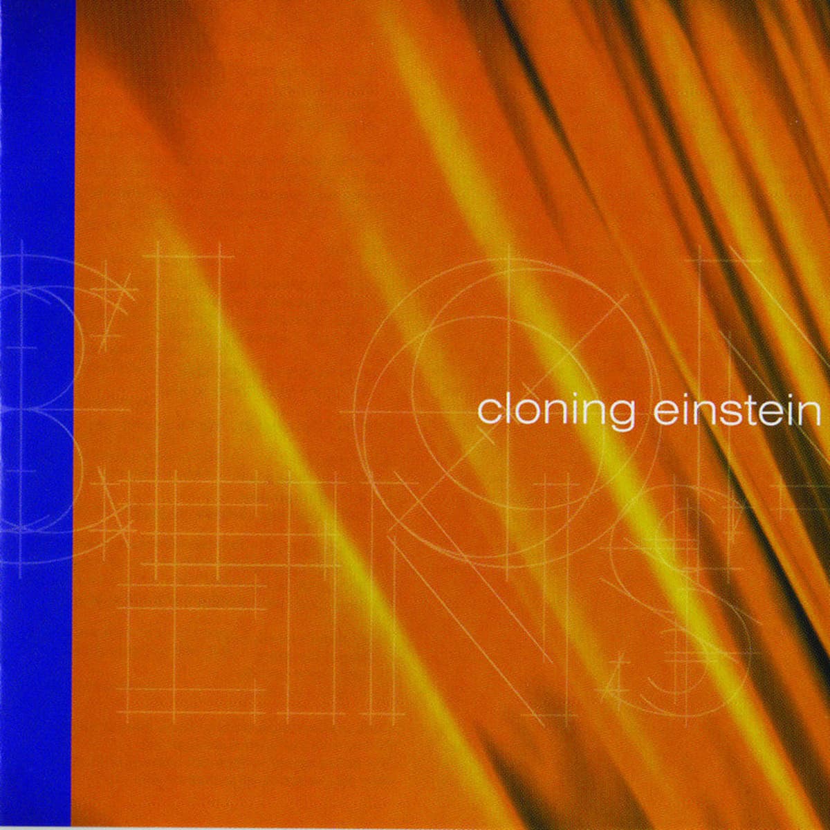 Cloning Einstein