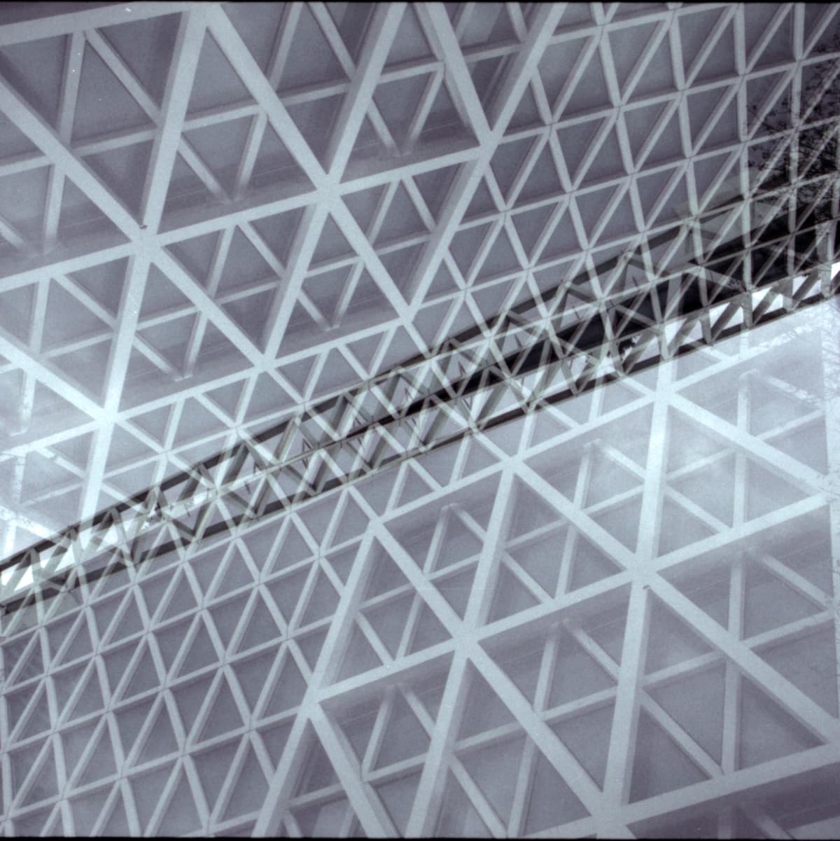 Echoic Architecture