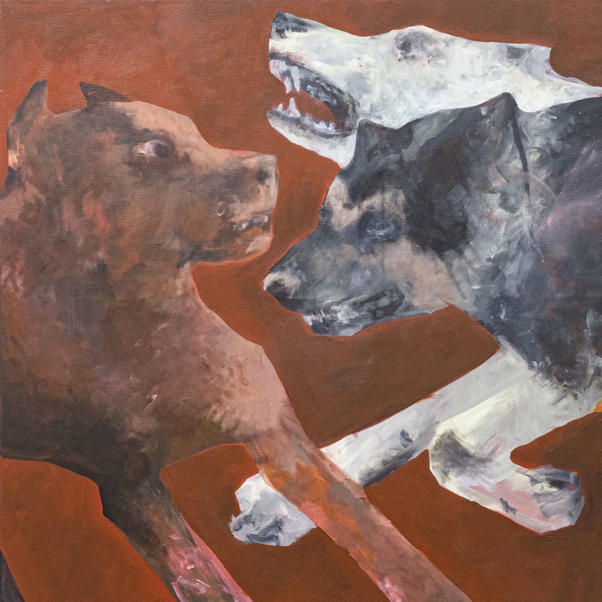 Bad Dogs