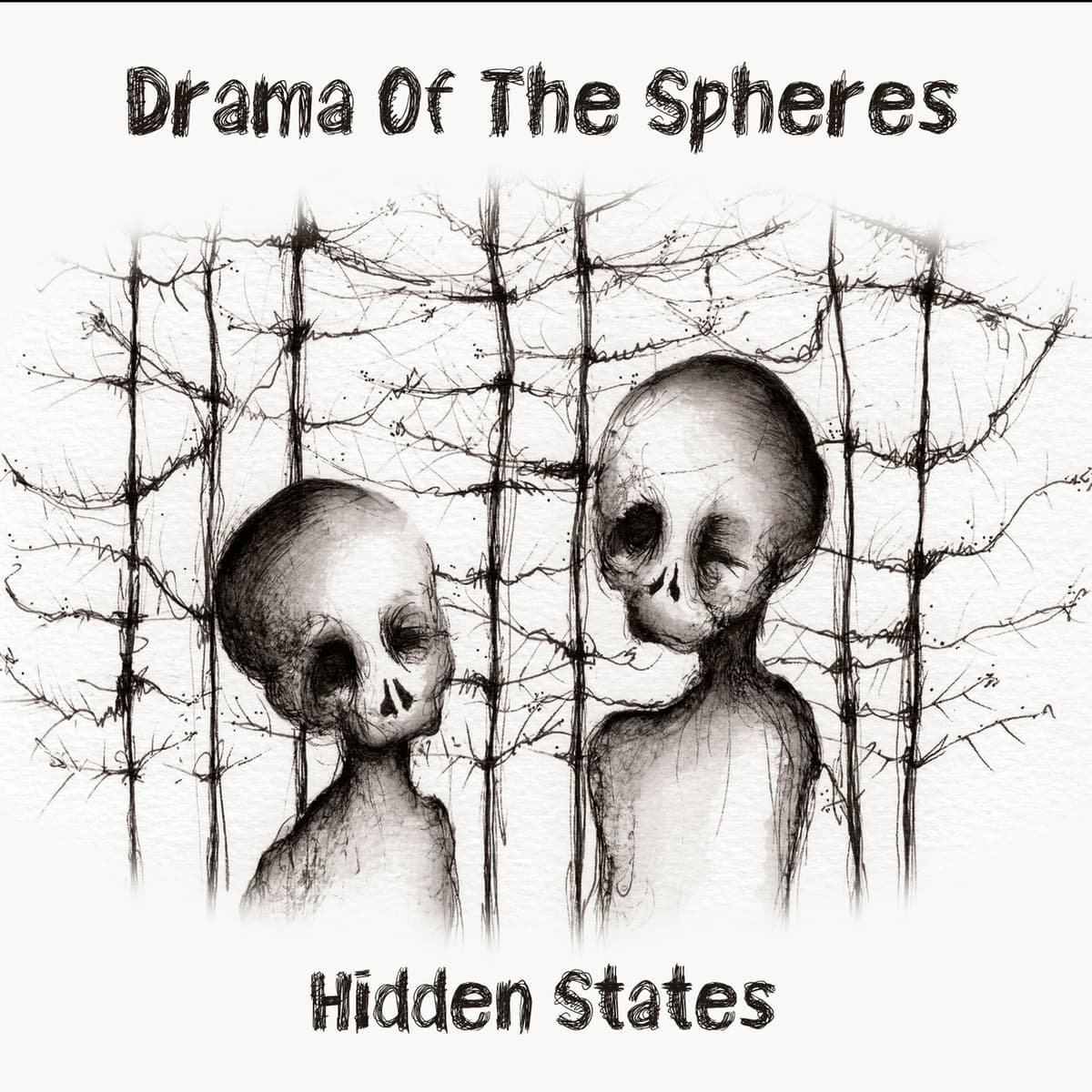 Hidden States