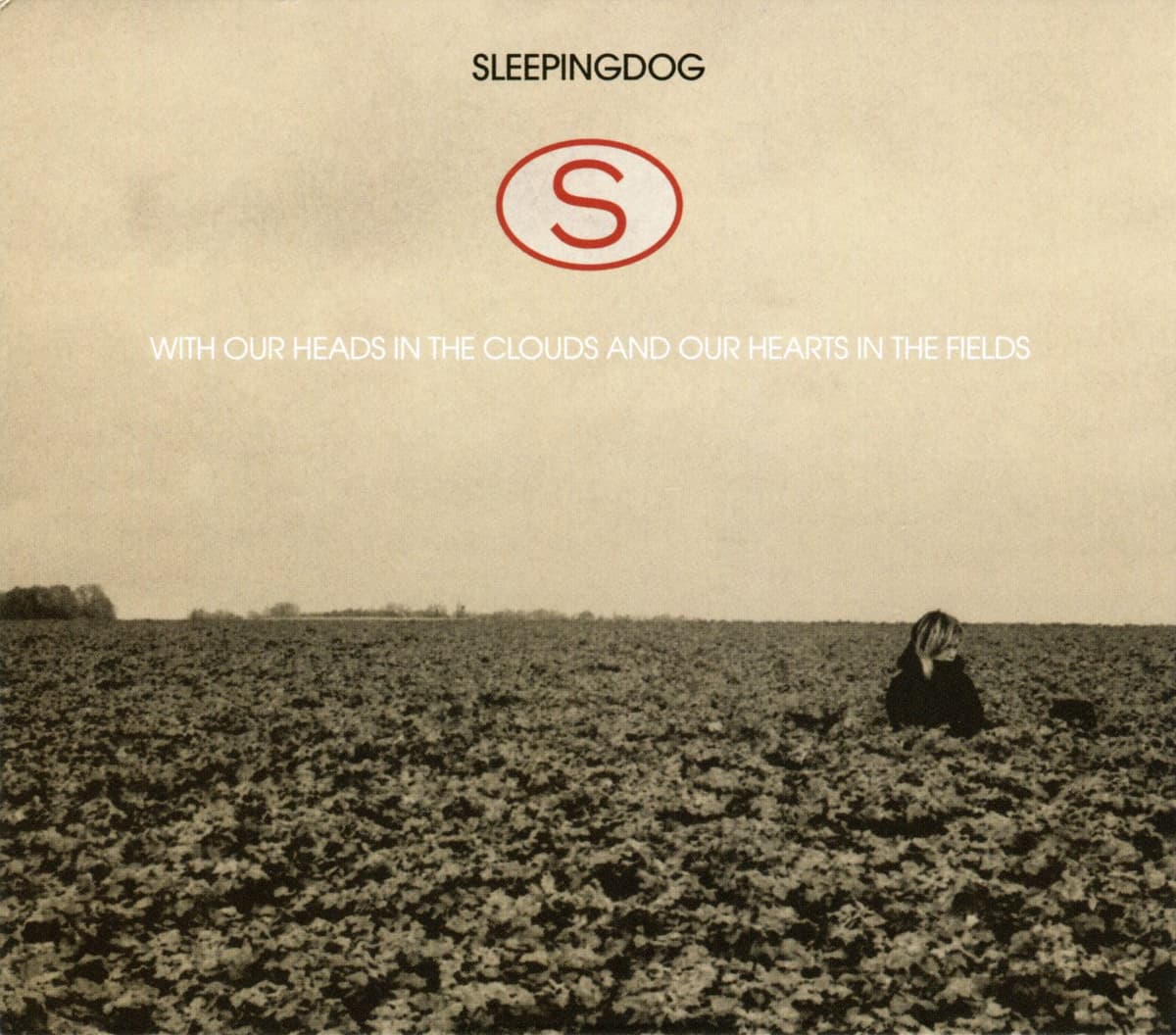 With Our Heads in the Clouds and Our Hearts in the Fields