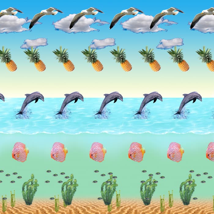 Life Under Palmtrees