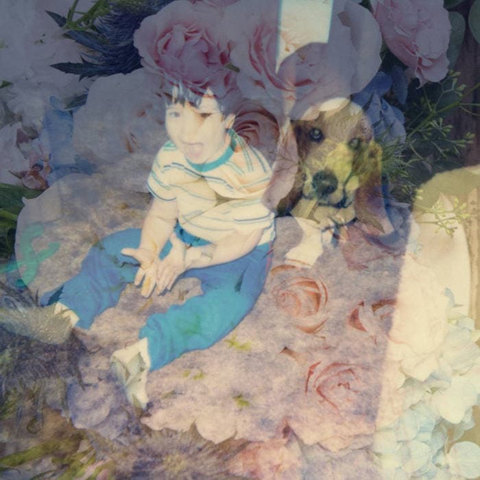 Pastel Dream
