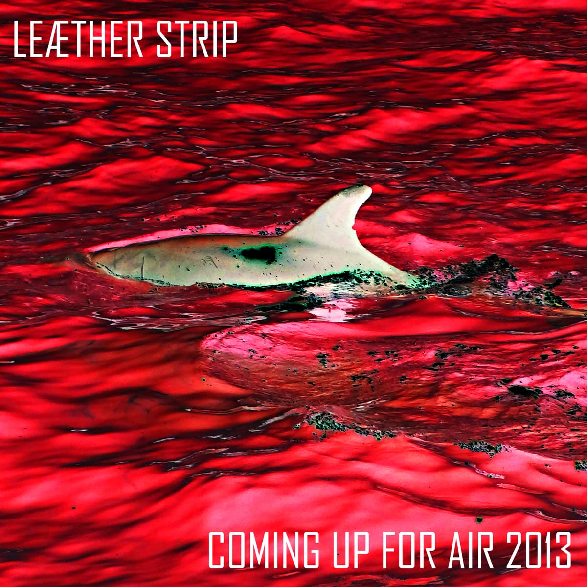 Coming Up for Air 2013